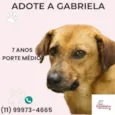 Gabriela 