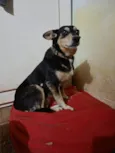 Encontrei ela