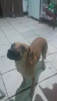 Gorda