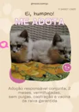 As branquelas