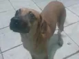 Gorda