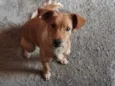 Mel