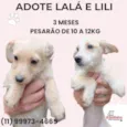Lalá e Lili