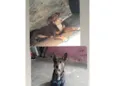 Max e snupp 