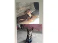 Max e snupp 