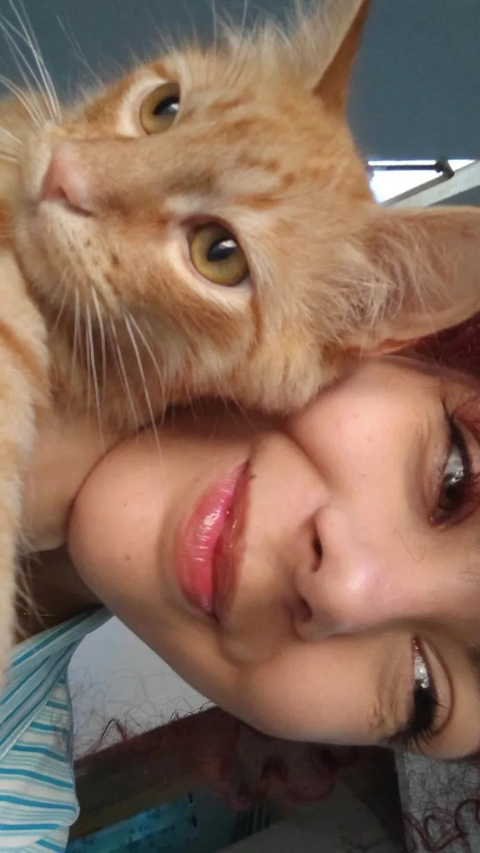 Gato ra a SRD-ViraLata idade 1 ano nome Carlos Eduardo escanor