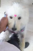 Nina Maria