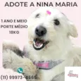 Nina Maria