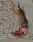 Nala