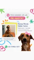 Pérola
