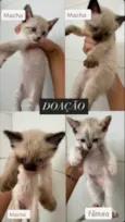 Não tem nomes 