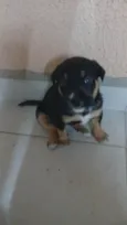 Ainda sem nome