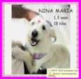 Nina Maria