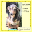 Tininha