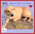 Mel
