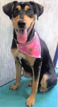 Heleninha