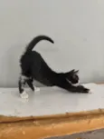 Mia