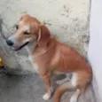 Mel
