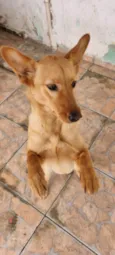 Akyra
