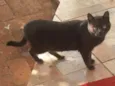 Mia