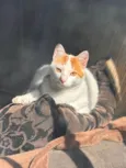 Kit