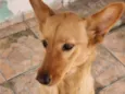 Akyra