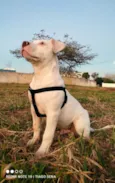 Zeus