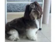 Bernardo