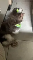 Bernardo