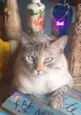 Sol