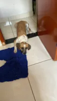 Mel