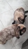 Mãe e filha