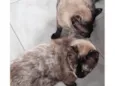 Mãe e filha