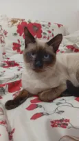 Joaquim