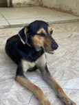Luan