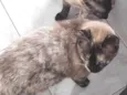 Mãe e filha