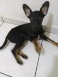 Buncky