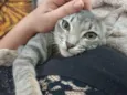 Mia