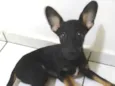 Buncky
