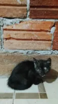 Gabriel 