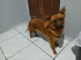 Tobby 