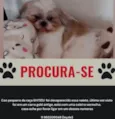 Lucky