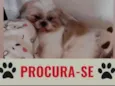 Lucky