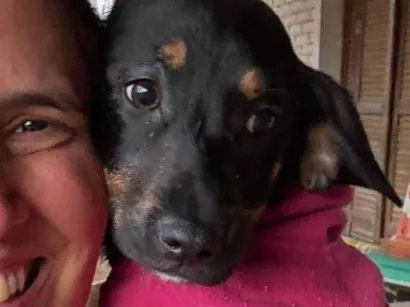 Cachorro raça SRD-ViraLata idade 2 a 6 meses nome Zoe