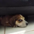Sem nome, foram abandonados