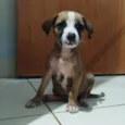 Sem nome, foram abandonados