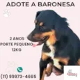 Baronesa