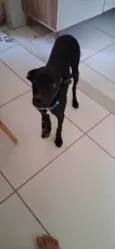 Zyon
