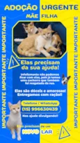 Mãe e Filha - Sem nomes