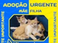 Mãe e Filha - Sem nomes